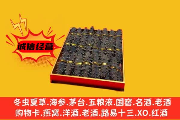 任城区回收海参